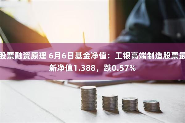 股票融资原理 6月6日基金净值：工银高端制造股票最新净值1.388，跌0.57%