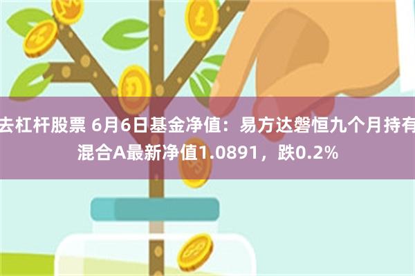 去杠杆股票 6月6日基金净值：易方达磐恒九个月持有混合A最新净值1.0891，跌0.2%