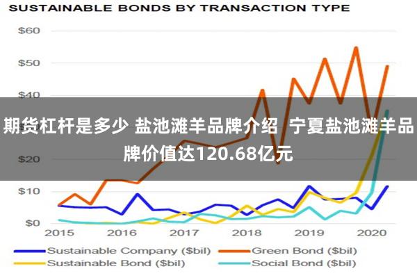 期货杠杆是多少 盐池滩羊品牌介绍  宁夏盐池滩羊品牌价值达120.68亿元