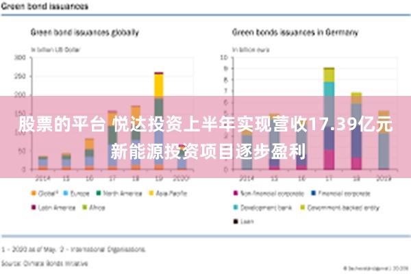 股票的平台 悦达投资上半年实现营收17.39亿元 新能源投资项目逐步盈利