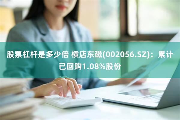 股票杠杆是多少倍 横店东磁(002056.SZ)：累计已回购1.08%股份