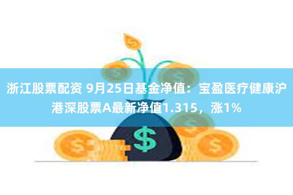 浙江股票配资 9月25日基金净值：宝盈医疗健康沪港深股票A最新净值1.315，涨1%