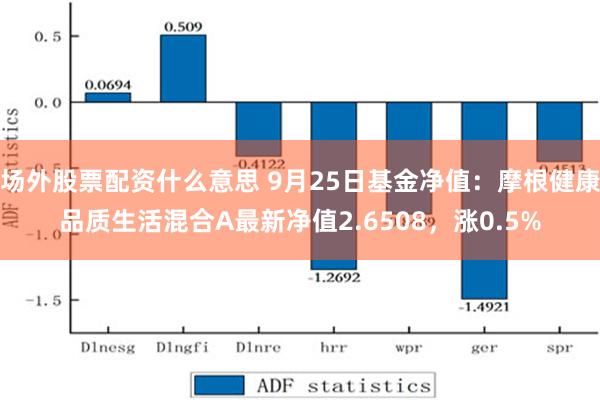 场外股票配资什么意思 9月25日基金净值：摩根健康品质生活混合A最新净值2.6508，涨0.5%