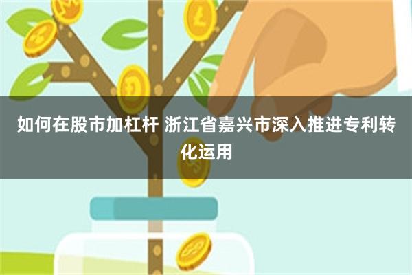 如何在股市加杠杆 浙江省嘉兴市深入推进专利转化运用