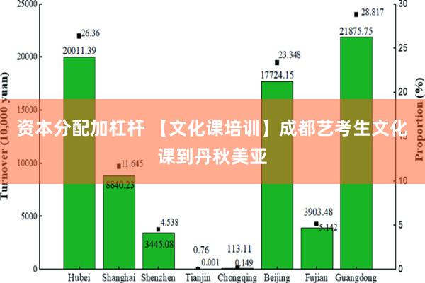 资本分配加杠杆 【文化课培训】成都艺考生文化课到丹秋美亚