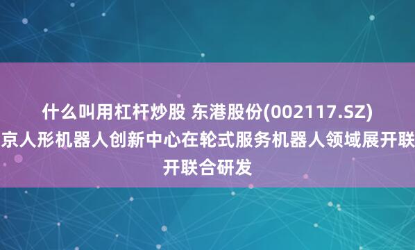 什么叫用杠杆炒股 东港股份(002117.SZ)：与北京人形机器人创新中心在轮式服务机器人领域展开联合研发