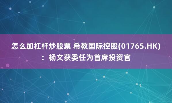 怎么加杠杆炒股票 希教国际控股(01765.HK)：杨文获委任为首席投资官