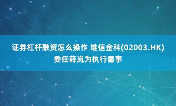 证券杠杆融资怎么操作 维信金科(02003.HK)委任薛岚为执行董事