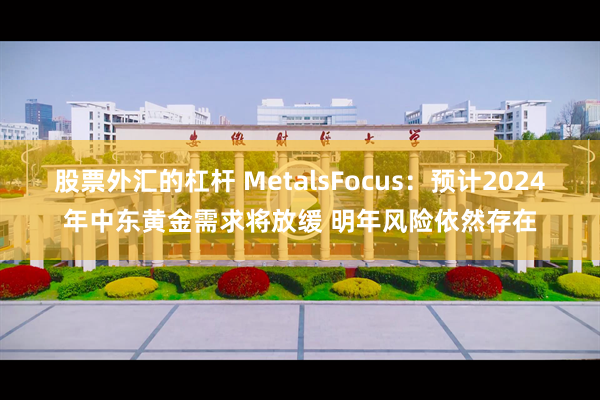 股票外汇的杠杆 MetalsFocus：预计2024年中东黄金需求将放缓 明年风险依然存在