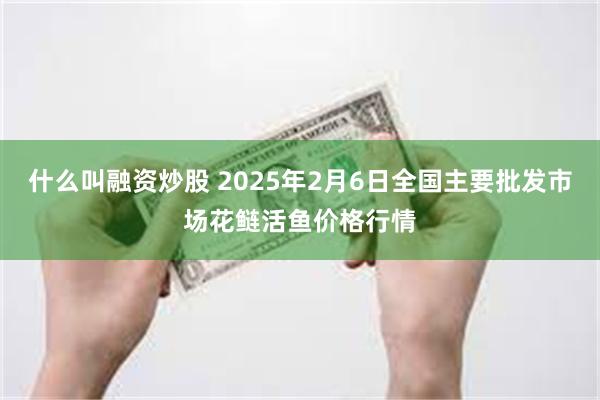 什么叫融资炒股 2025年2月6日全国主要批发市场花鲢活鱼价格行情