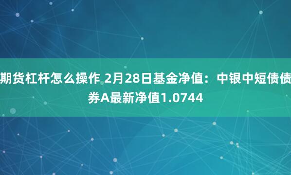 期货杠杆怎么操作 2月28日基金净值：中银中短债债券A最新净值1.0744