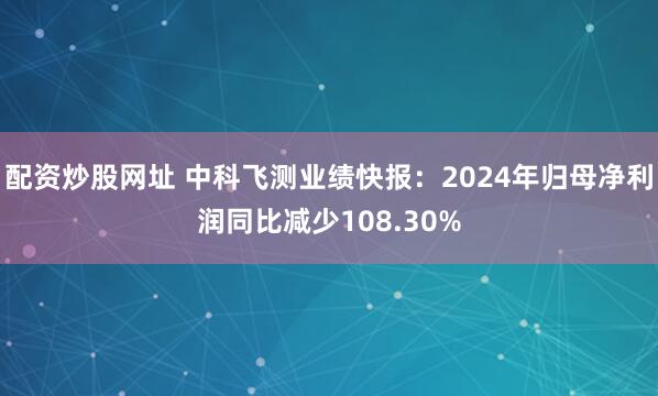 配资炒股网址 中科飞测业绩快报：2024年归母净利润同比减少108.30%