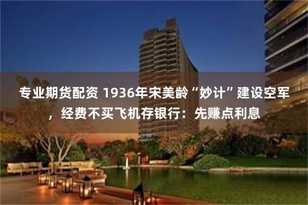 专业期货配资 1936年宋美龄“妙计”建设空军，经费不买飞机存银行：先赚点利息