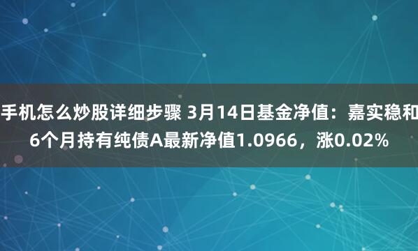 手机怎么炒股详细步骤 3月14日基金净值：嘉实稳和6个月持有纯债A最新净值1.0966，涨0.02%